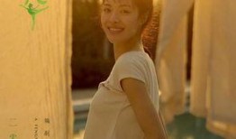 芳华在线 观看,青春岁月的深情回望